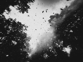 Black and white forest scene with falling leaves