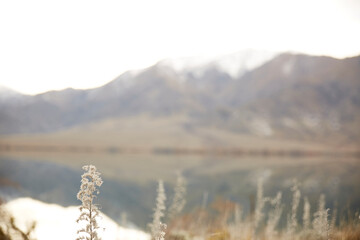 Mountainous landscape background screensaver winter morning in New Zealand 