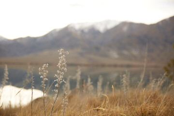 Mountainous landscape background screensaver winter morning in New Zealand 