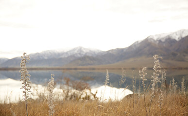 Mountainous landscape background screensaver winter morning in New Zealand 