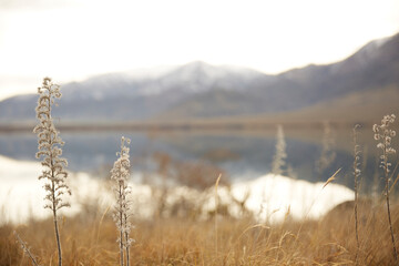Mountainous landscape background screensaver winter morning in New Zealand 
