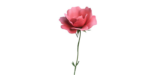 Fototapeta premium Wild Rose with Bushy Leaves and Flowers Isolated on Transparent Background