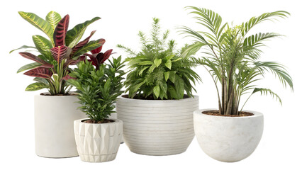 Fototapeta premium Collection of beautiful plants in ceramic pots isolated on transparent background. 3D render.