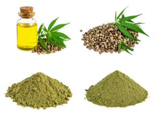 Discover nature's bounty with potent hemp oil seeds and powder for wellness and natural products