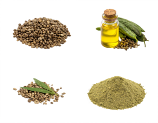 Discover natural hemp seeds oil and powder for wellness and healthy living