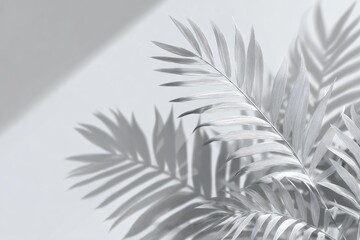 Naklejka premium Soft greyscale palm leaves with strong shadows