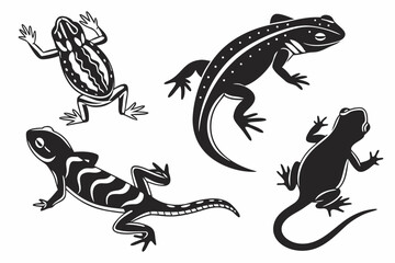 Naklejka premium Amphibians sihouette black vector