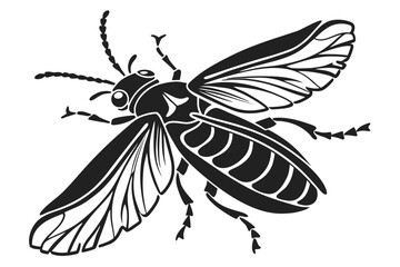 Firefly beetle sihouette black vector