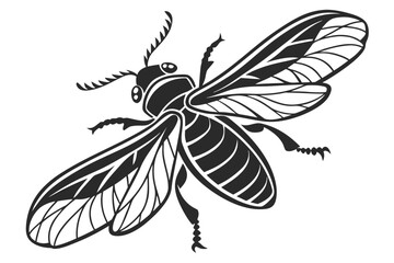 Firefly beetle sihouette black vector
