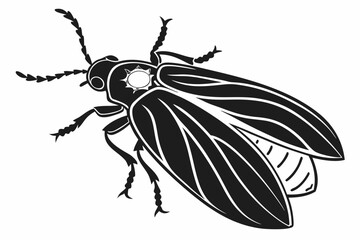 Firefly beetle sihouette black vector