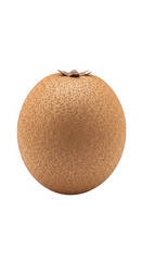 Single ripe cantaloupe on black background. Detailed netted texture of cantaloupe rind. Studio shot of golden orange melon.