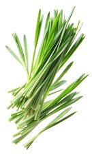 Fototapeta premium Flying Fresh Green Lemongrass Leaves in Motion isolated on transparent white background, clipping path