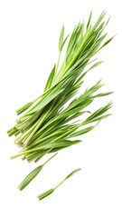 Obraz premium Flying Fresh Green Lemongrass Leaves in Motion isolated on transparent white background, clipping path
