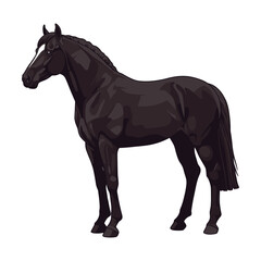 Elegant black horse illustration with graceful stance &ndash; stock vector flat illustration