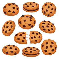 Assorted chocolate chip cookies – stock vector flat illustration