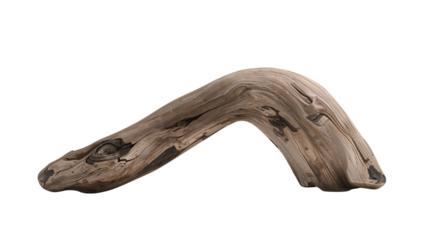 Aged driftwood artistry presents organic forms against a stark transparent field showcasing