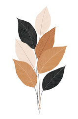 Obraz premium Elegant composition of ethereal leaves showcasing organic textures and delicate veins against a