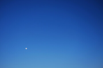 The moon in the daytime on the vast blue sky. copy space