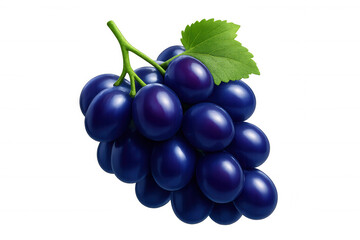 Fototapeta premium Ripe purple grapes hanging with green leaf, showcasing fresh vineyard produce against transparent background for culinary design