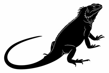 Iguana sihouette black vector