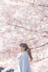 春、桜の木の下に立つ女性