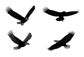 Four black silhouettes of eagles in flight, various angles