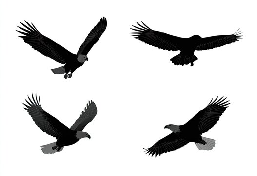 Four black silhouettes of eagles in flight, various angles