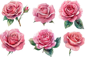 Fototapeta premium bouquet of roses