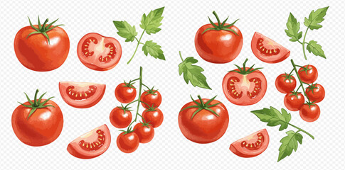 A detailed illustration set of fresh red tomatoes, including whole fruit, slices, wedges, and cherry tomatoes on the vine with leaves.