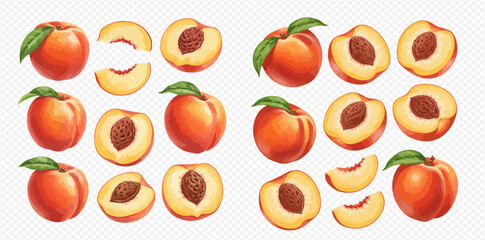An illustrative set of ripe peaches, whole with leaves, halved with pits, and cut into juicy slices.