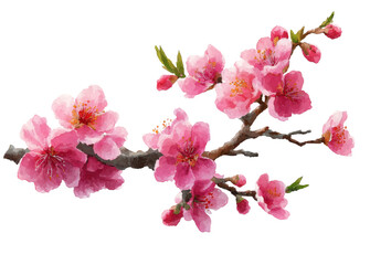 A watercolor painting of a cherry blossom branch with vibrant pink flowers and green leaves, capturing the essence of spring's delicate beauty.