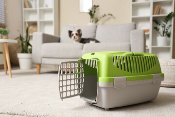 Cute Biewer Terrier dog and pet carrier at home