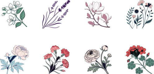 Bundle of 8 Colorful Botanical Flower Illustrations – Vintage Floral Clipart Set for Print, Design, and Digital Art Projects