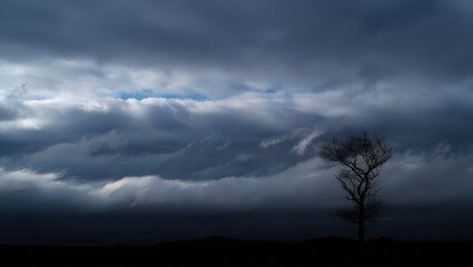 Fototapeta premium A lone tree stands silhouetted against a sky filled with dramatic clouds