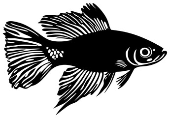 Silhouette of a Lone Guppy Fish Fluttering in Shallow Waters