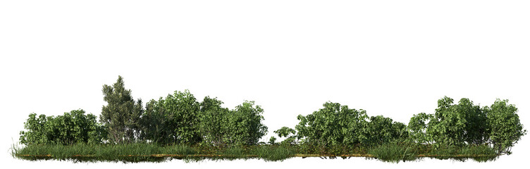 Green Bushes and Trees Isolated Background