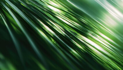 Lush green palm leaves, sunlight, tropical background, nature texture, website design