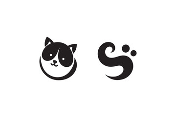 black cat with white background