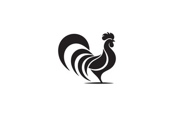 rooster isolated on white background