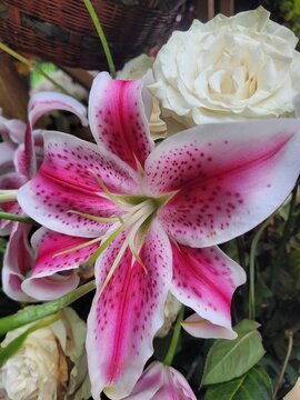 Naturaleza: perfecci&oacute;n entre las rosas y los lirios