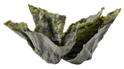Mossy rock isolated on transparent background with natural texture and rough surface