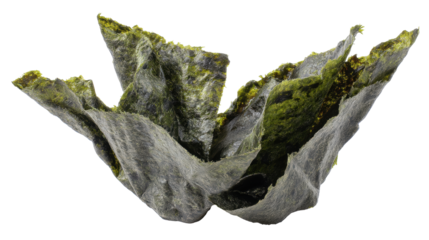 Mossy rock isolated on transparent background with natural texture and rough surface