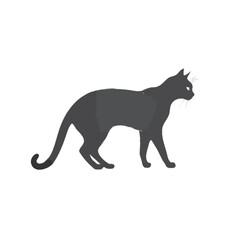 black cat vector illustration 