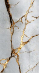 Obraz premium Aurum Nexus