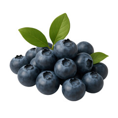 Fresh blueberries with green leaves isolated on black background