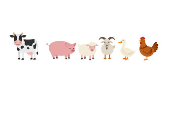 Farm animals cow pig sheep goat duck chicken stand in a line