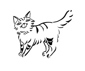 Fluffy tabby cat in sketch style, hand drawn with black ink and transferred to vector image. Minimalistic pet illustration suitable for print, cards, logos and interior design.