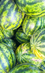 Ripe watermelons close-up, summer harvest