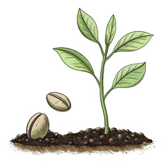 continuous on line art growing sprout plant leaves