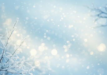 Beautiful, dreamy winter background featuring a bokeh pattern of light and a frost-covered branch.

